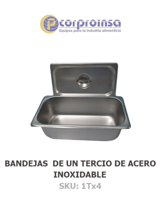 BANDEJAS--INSERTOS--DE-UN-TERCIO-DE-ACERO-INOXIDABLE-2