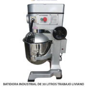 BATIDORA INDUSTRIAL DE 30 LITROS