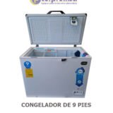 CONGELADOR-DE-9-PIES9