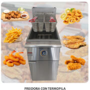 FREIDORA CON TERMOPILA