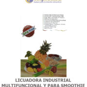 LICUADORA INDUSTRIAL MULTIFUNCIONAL Y PARA SMOOTHIE