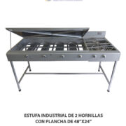 ESTUFA INDUSTRIAL DE 2 HORNILLAS CON PLANCHA DE 48″X24″