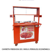 CARRETA FREIDORA DE 2 WOLS (PEROLES) ECONÓMICA