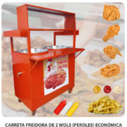 CARRETA FREIDORA DE 2 WOLS (PEROLES) ECONÓMICA